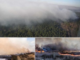 В Харьковской области продолжают уничтожать гектары экосистем: полиция расследует поджоги, - ФОТО
