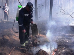 Масштабный лесной пожар в Черниговской области полностью ликвидирован