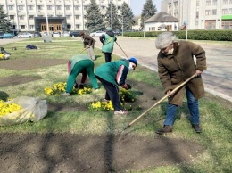 Одесский "Горзелентрест" ударными темпами высаживает весенние цветы