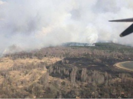 Пожар в Чернобыльской зоне остановлен: детали