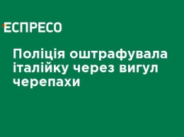 Полиция оштрафовала итальянку за выгул черепахи