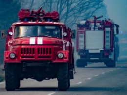 Пожар в Чернобыльской зоне: задержаны подозреваемые в поджоге