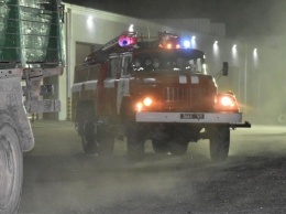 Минувшей ночью криворожские спасатели отправились на помощь в тушении пожаров в Чернобыльской зоне, - ФОТО, ВИДЕО