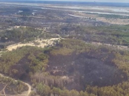 Геращенко показал фото и видео с места пожара в Чернобыльской зоне