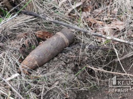 В Широковском районе мужчина пас скот и нашел артиллерийский снаряд