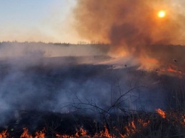 Пожар возле Припяти и Чернобыля полностью ликвидирован, - ГСЧС