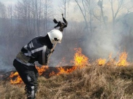Зеленский подписал закон об усилении наказания за сжигание травы и загрязнение воздуха