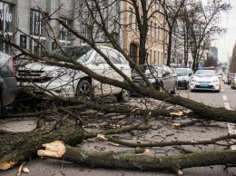 В Киеве поднимется сильный ветер: чем опасна такая погода и что нужно успеть сделать