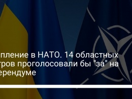 Вступление в НАТО. 14 областных центров проголосовали бы "за" на референдуме