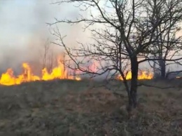 Зеленский подписал громкий закон. Чьи кошельки "подожгут" первыми