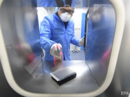 "Нулевым пациентом" с коронавирусом был сотрудник лаборатории в Ухане, он заразился от летучих мышей - СМИ