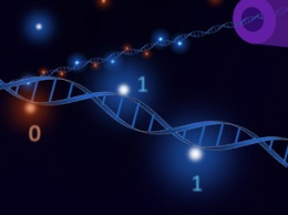 Ученые создали новый метод хранения и перезаписи данных в ДНК