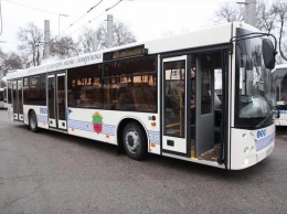 Долой маршрутки: в Запорожье на период карантина в городе будет работать только большие автобусы