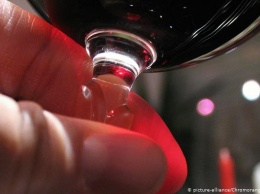 В Германии дегустировать вино теперь можно виртуально