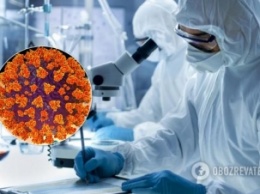 Поймают на живца: ученые нашли, как остановить коронавирус в теле человека