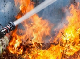 Киев в кольце пожаров: горят села на Житомирщине и Чернобыльская зона (ФОТО, ВИДЕО)