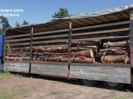 Директор государственного лесхоза, задержанный на взятке в 360 тысяч гривен, пойдет под суд