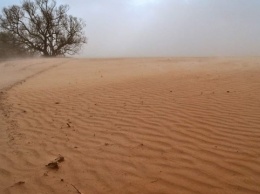 Из-за пылевой бури на Черниговщине намело "пустыню"