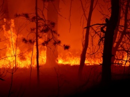 На Житомирщине вспыхнул масштабный пожар. Жуткие фото и видео