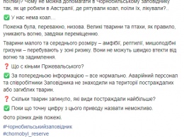 В Чернобыльском заповеднике сообщили, что у них нет коал, но остались лошади Пржевальского. Фото