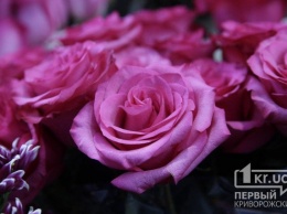 Криворожанка, которая «отдала» парню одну розу, заплатит 17 тысяч гривен штрафа за нарушение правил карантина