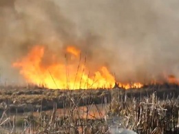 Беда одна не ходит: в Украине вспыхнул еще один мощный пожар - дым застилает небо, дышать невозможно (фото)