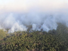В экосистемах Киевщины 37 пожаров за сутки, жителям рекомендуют не открывать окна