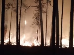 ''Справимся!'' В МВД показали карту пожаров на Киевщине и Житомирщине. Видео