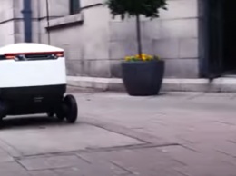 Терминатор сгорел бы от стыда: робот-курьер с краденой едой устроил погоню по улицам (видео)