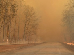 В Чернобыльской зоне пожарные продолжают тушить огонь в пяти лесничествах