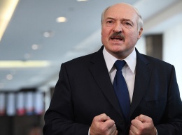 Лукашенко о критике в свой адрес: только ленивая, паршивая собака не тявкает в мою сторону