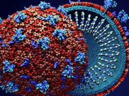 Геймеры по просьбе ученых ищут лекарство от коронавируса