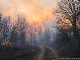 Украина в огне: пока лесные пожары только локализованы