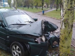 В Мариуполе автомобилист врезался в дерево, - ФОТО