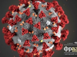 Ученые рассказали, в каких странах зверствуют самые смертельные штаммы коронавируса