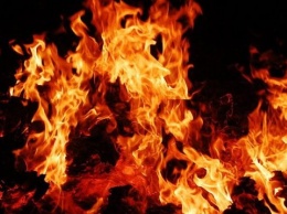 На пожаре в запорожском поселке обгорела пенсионерка