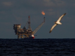 Нефтяной рынок лихорадит: цена Brent резко падает