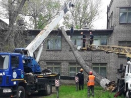 Последствия шторма. В Мариуполе 15-метровое дерево чуть не разрушило детский сад, - ФОТО