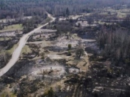 В Чернобыльской зоне продолжают тушить пожары в пяти лесничествах