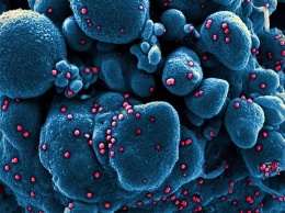 Китайские ученые предупреждают о еще более опасных штаммах коронавируса