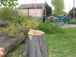 Жители поселка в Запорожье остались без электричества - фото, видео