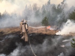 Пожары на Житомирщине: глава ОГА назвал одну из возможных причин