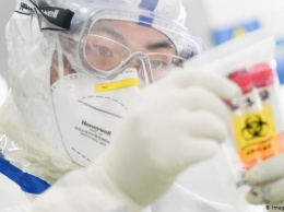 Лаборатория или рынок морепродуктов: где появился коронавирус SARS-CoV-2?