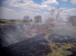 На Николаевщине объявлен 5 класс пожарной опасности - выгорело еще 2 га (ФОТО)
