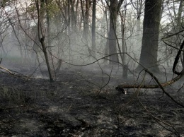 Пожар в экосистеме: возле Каменского тушили сухую траву