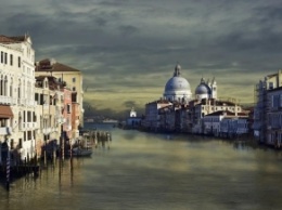 В каналах Венеции появились медузы (фото, видео)
