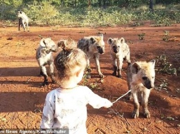 Двухлетняя девочка подружилась с гиенами