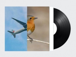 Выпущена пластинка с записью пения птиц и шума самолетов