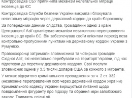 СБУ поймала азиата, который переводил нелегалов через границу с Румынией