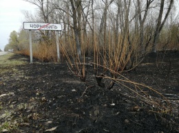 В Чернобыльской зоне в четырех лесничествах продолжают борьбу с пожарами - ГСЧС